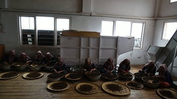 Jun Chiyabari - In the factory / Hand sorting - video 5 in time lapse