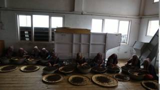 Jun Chiyabari - In the factory / Hand sorting - video 5 in time lapse