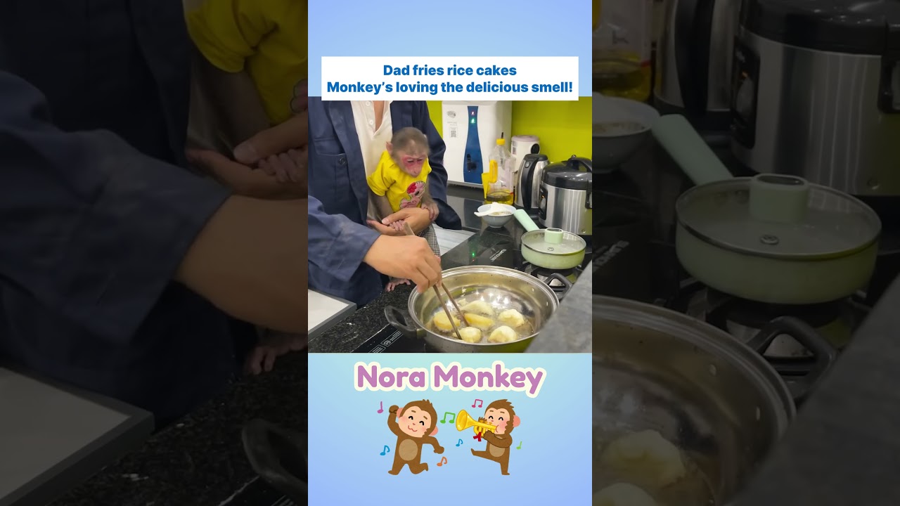 Monkey helps dad grind rice into flour for the very first time!