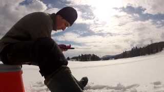 Chilibønner & Ølkorv