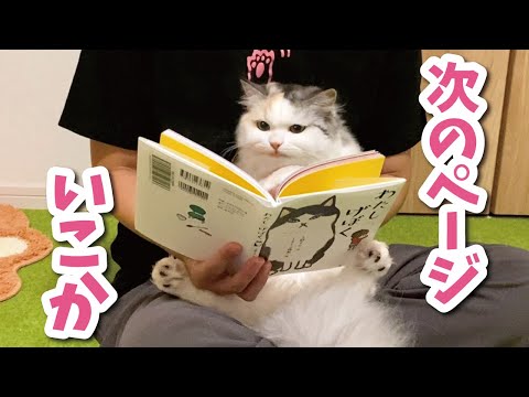 絵本を読み聞かせ被害にあってしまった猫【おしゃべりする猫】