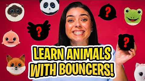 EPISODE 9 - Play & Learn with Beanie Bouncer #ty #beaniebouncers
