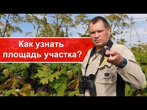 как узнать площадь участка/как измерить земельный участок/измерить площадь поля/антиборщевик/антибор