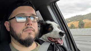 Daily Life - Day 1 - How To Vlog A Random Day Firetrucks, Haircuts, Food, New Houses