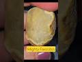 Favosites Quartz Coldwater Agate from Lake Huron in Michigan! #agate #rocks #quartz #fossil #coral