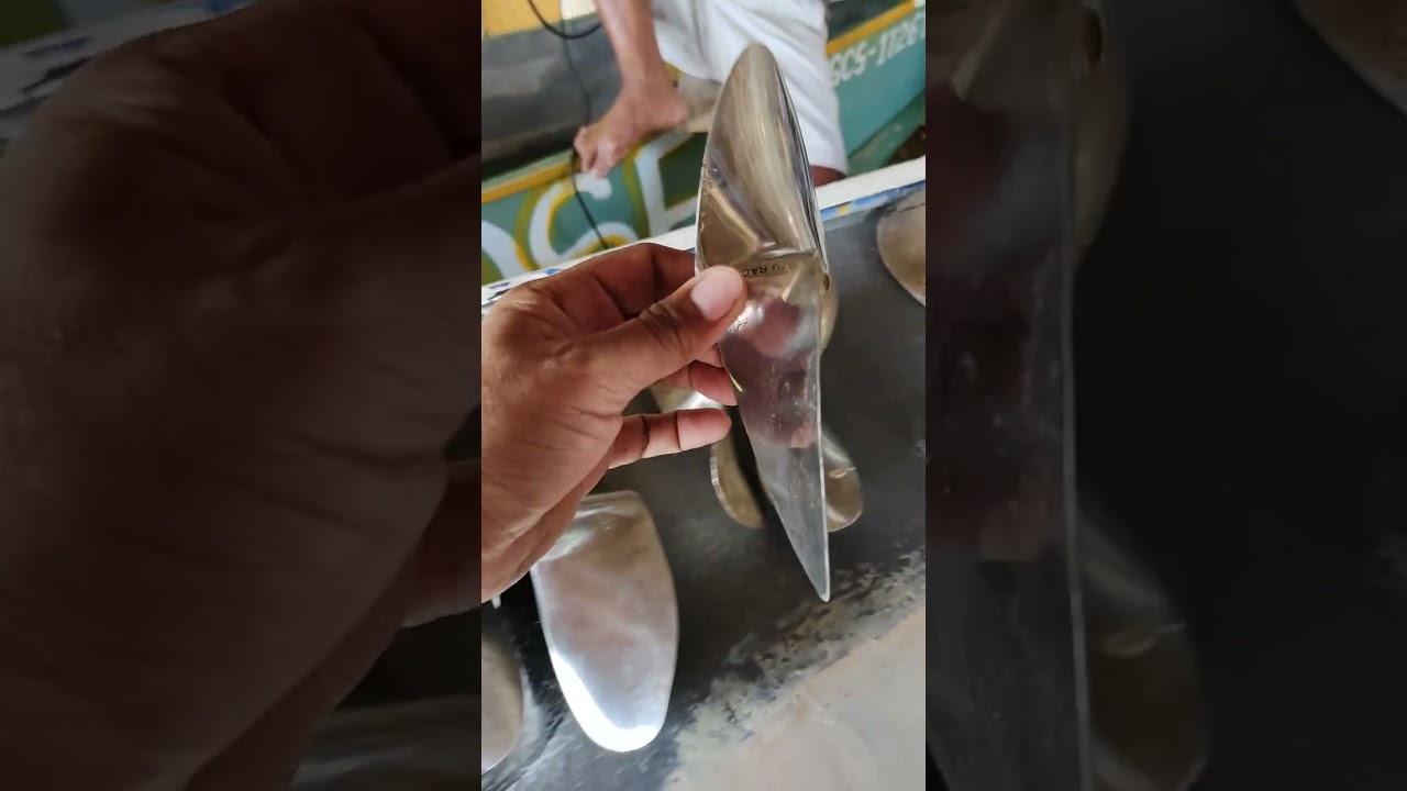 Elise Champion, Just for Fun😂😁