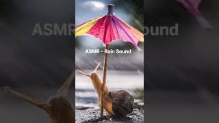 ASMR Rain Sound #deepwhitenoise #asmr #rainsound #relaxation #sleep