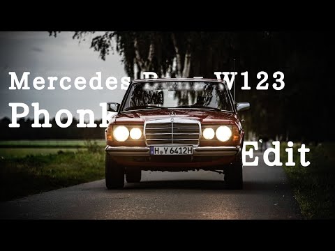 Mercedes-Benz W123 250T