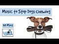 Relaxing Dog Music - Music to Stop Your Dog from Chewing and Other Destructive Behaviours Relaxing Dog Music - Music to Stop Your Dog from Chewing and Other Destructive Behaviours