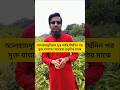দীর্ঘ অসুস্থতার পর আবার প্রকৃতির মাঝে 🌿 | আলহামদুলিল্লাহ সুস্থ আছি/ #NSJbonerGolpo