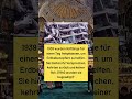 Vom Dorf in den Reichtum! 💎 Milliardär baut Luxushäuser für sein altes Dorf. Wahre Ehre! ❤️🫡