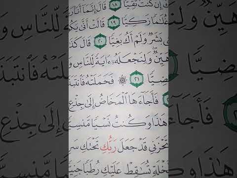 ما معنى فأجاها المخاض إلى جذع النخلة سورة مريم