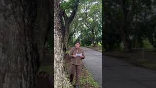 Famous DEVC263 UPOU SELF INTRODUCTION VIDEO DOCHOA Wealth
