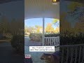 North Carolina Cat Cleverly Learns to Ring Doorbell #shorts