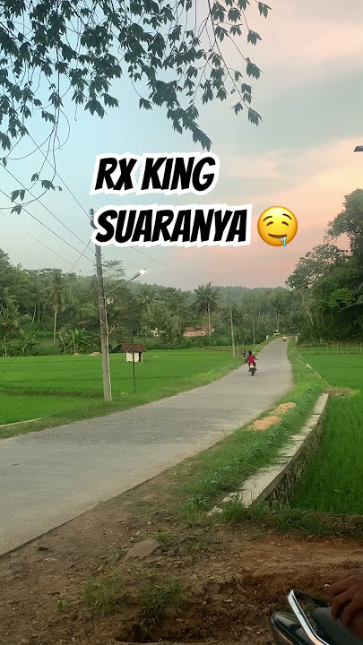 nalpot botar terbaikk🤙 #rxking #dj #rxking135cc #ninjass