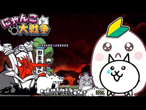初心者無課金が日本編第２章ラストステージに挑戦！にゃんこ大戦争