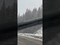 All about nature #travel #love #nature #snow #excitement #shortvideo #shorts #short #viral #song