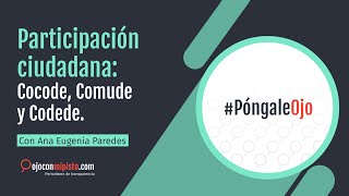 Participación ciudadana: Cocode, Comude y Codede