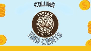 Two Cents: Culling