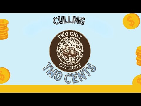 Two Cents: Culling