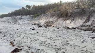 Jupiter Beach Walk