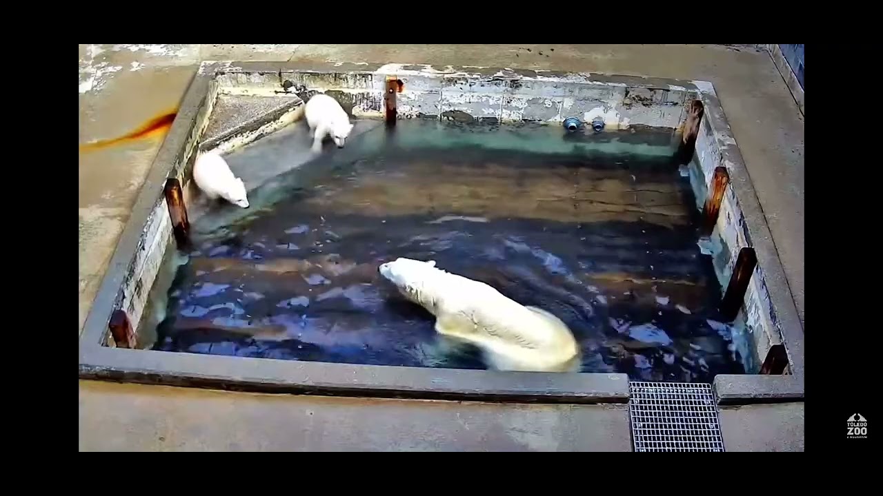 April 2, 2023 - Mom is swimming!