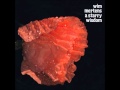 Wim Mertens - At the edge of the void