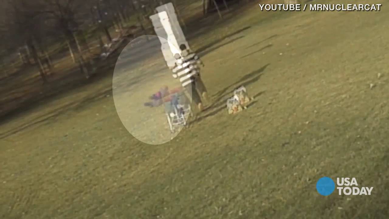 That eagle snatching a baby video? Yeah, its fake