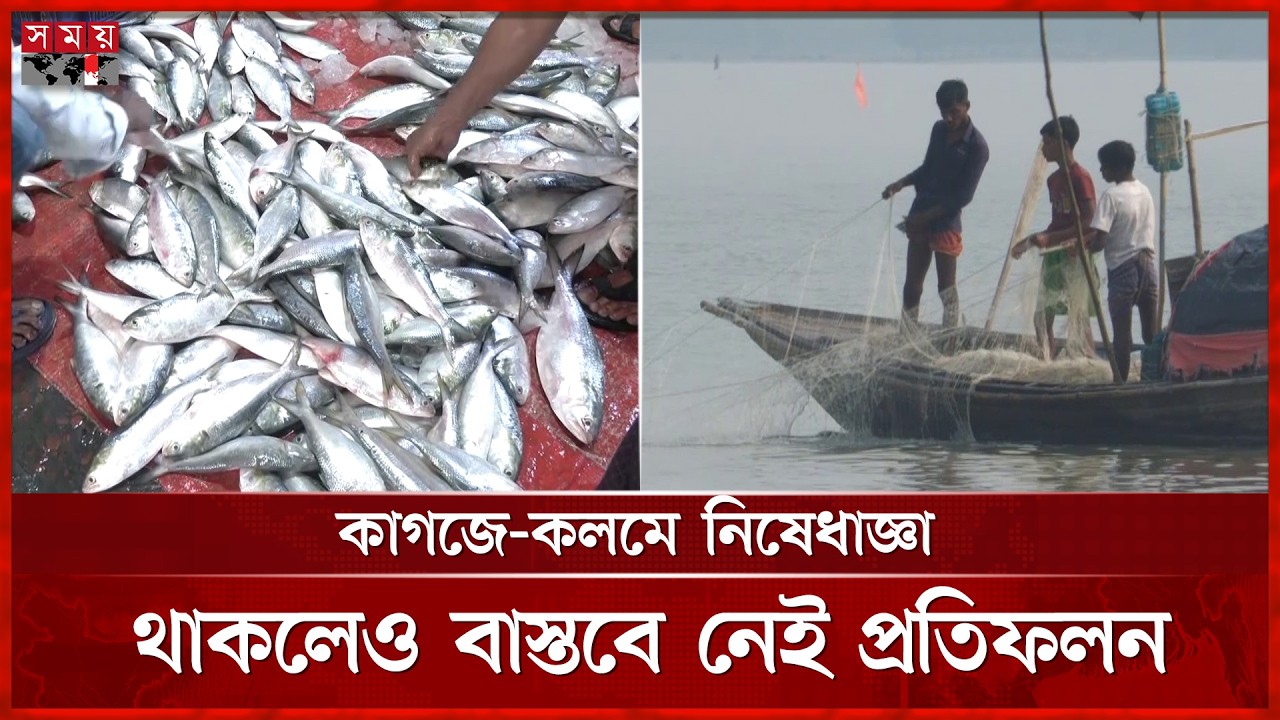 নিষেধাজ্ঞা থাকলেও বরিশালে দেদারসে বিক্রি হচ্ছে জাটকা | Barishal Fish Market | Ilish Fish | Somoy TV