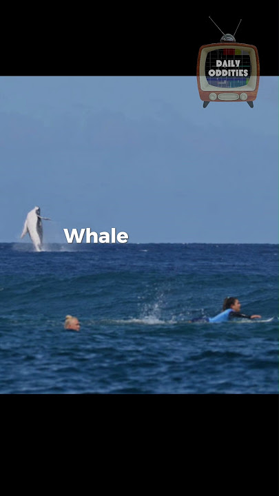 Whale entrance in Olympics 🤯 #news #latest #olympics #shorts