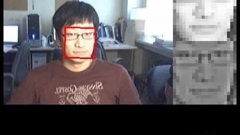 Face Tracking invariant to face pose variations and illumination changes