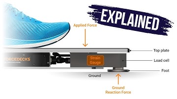 How do force plates work? Biomechanics Explained