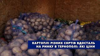 Картоплі різних сортів вдосталь на ринку в Тернополі: які ціни
