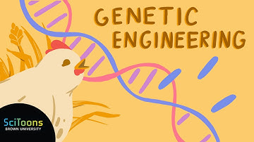 What is Genetic Engineering?