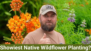 Aspire Park, Clinton TN- The best Native Wildflower Planting We've Seen!