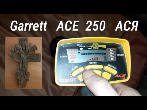Металлоискатель Garrett ACE