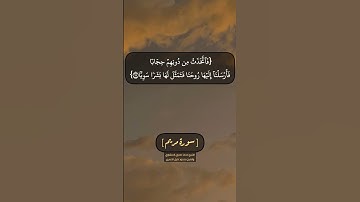 سورة مريم الآية ١٥ الى ١٩ بصوت الشيخ محمد صديق المنشاوي والشيخ محمود خليل الحصري