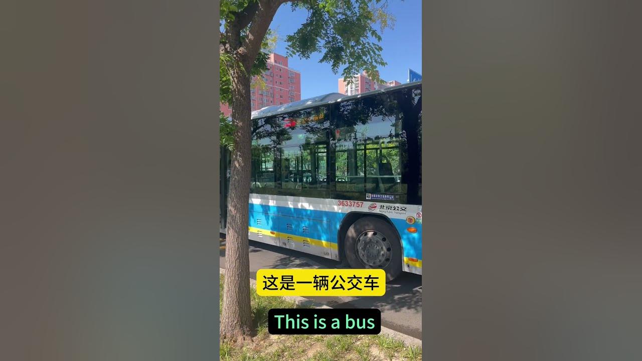 what-is-bus-in-chinese-youtube