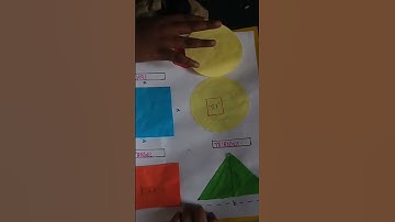 Area and Perimeter Teaching Learning Material/ Album/Low cost TLM