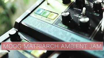Moog Matriarch, Elektron Digitone and Digitakt plus Novation Peak Ambient Jam