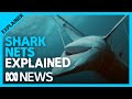 Shark nets catch and kill thousands of sea creatures. What are the