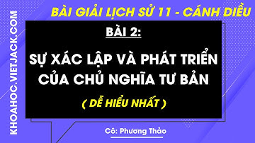 Lịch sử 11 Cánh diều Bài 2: Sự xác lập và phát triển của chủ nghĩa tư bản (DỄ HIỂU NHẤT)