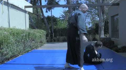Omote gyaku armlock, intermediate 1 - Ninjutsu Tecnique for Akban wiki