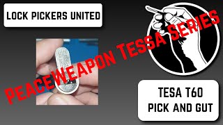 Peace Weapon TESSA Series 1 - the T60