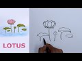 How to draw a Lotus for beginners / Oil pastel step by step