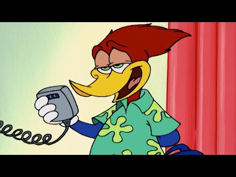 Woody Woodpecker | Woody Flies First Class plus More Full Episodes