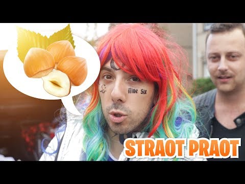 STRAOT PRAOT! - [Wat vind je er van dat er zo veel hazelnoten op de straat liggen?]