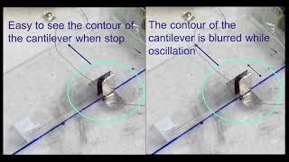 Structural Capacitors for Micro Flapping Actuators