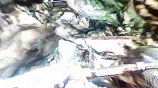 Capture 20111121