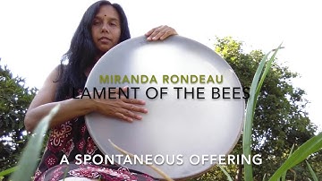 Lament of the Bees a Spontaneous frame drum song offering by Miranda Rondeau
